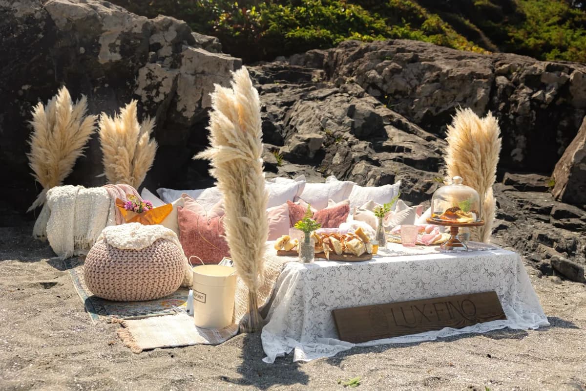 Grand luxury picnic setup